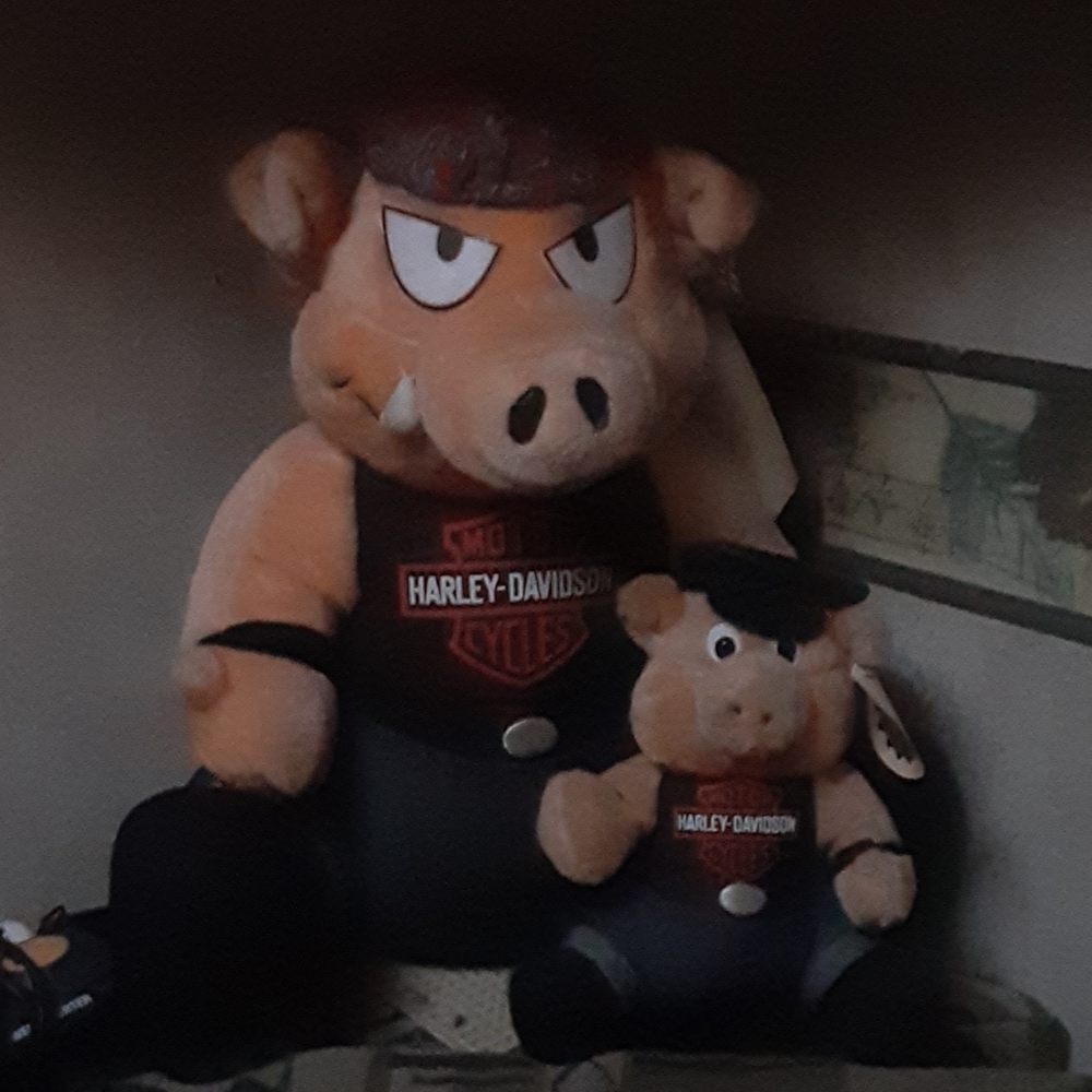 Harley davidson